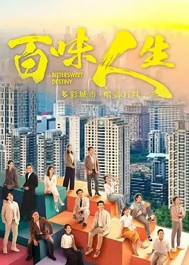 我们的十年 都市情感剧全集